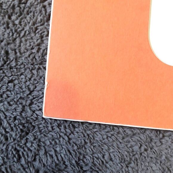 10x20‎ Orange Coast Guard Photo Mat - Picture 6 of 10